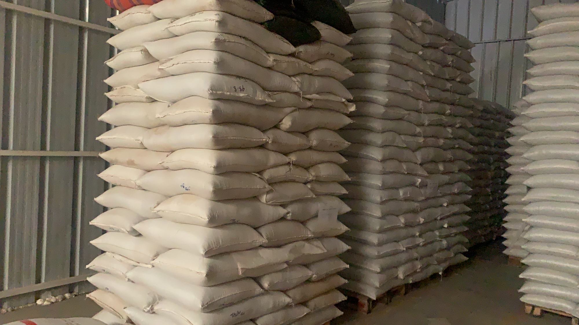 Sacos de grano apilados hasta el techo en el almacén de la planta